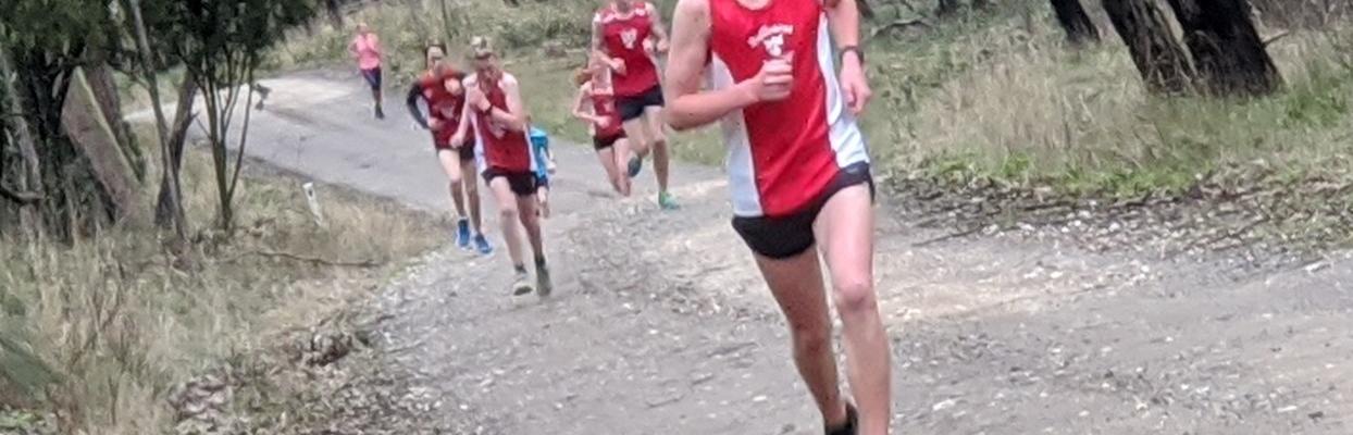 Cross Country Banner 2